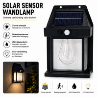 Solar Buitenlamp met bewegingssensor - Wandlamp - Waterdicht - IP65 weerbestendig - Zwart