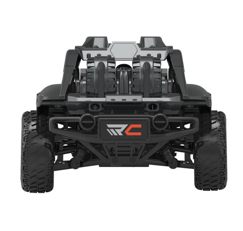 Rc auto 4x4 WD Rally 25km/u - TKKJ K06 - 2.4GHZ 1:16 - OFF ROAD Sport Thunder Car 