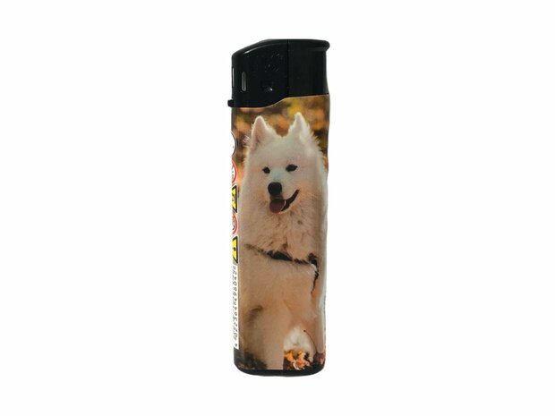 Dragon Lighters Click 50 doggie print.