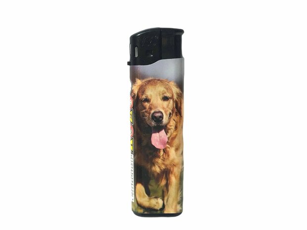 Dragon Lighters Click 50 doggie print.