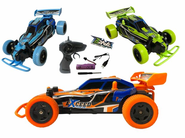 RC Buggy 1:24 Electric 2.4GHz