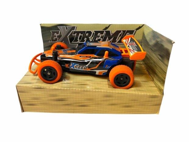 RC Buggy 1:24 Electric 2.4GHz