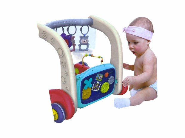 Multifunctionele loopstoeltje en fitnessrek voor baby&#039;s