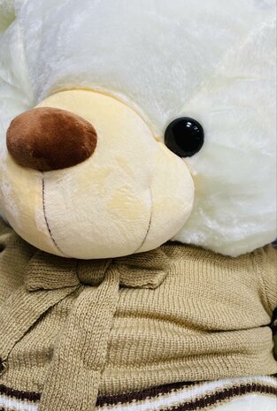 Kuschelb&auml;r Teddyb&auml;r Plus mit Brownie-T-Shirt 110cm
