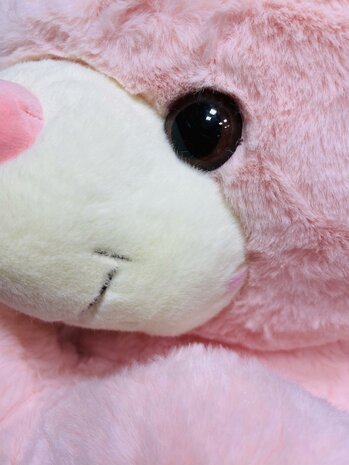 Teddybeer met hart LOVE Roze 75cm