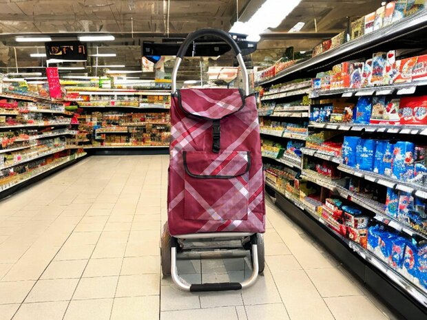 LARGE ALUMINUM shopping trolley - Large solid wheels - Stairs Stoep 55 liters.