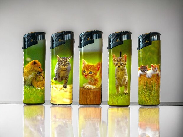 Aanstekers -  50 stuks in tray - kattenprint - navulbaar en klik - Tom lighter