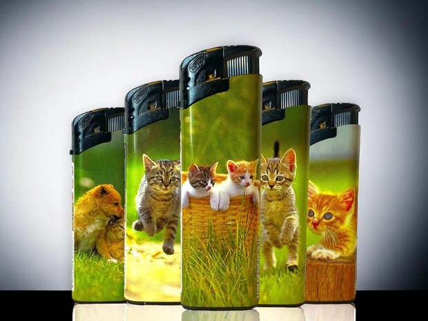 Aanstekers -  50 stuks in tray - kattenprint - navulbaar en klik - Tom lighter