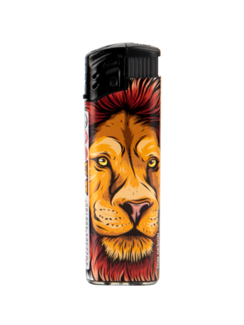 Briquets coupe-vent - flamme turbo - 50 pi&egrave;ces - briquet vent Lion