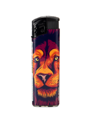 Briquets coupe-vent - flamme turbo - 50 pi&egrave;ces - briquet vent Lion