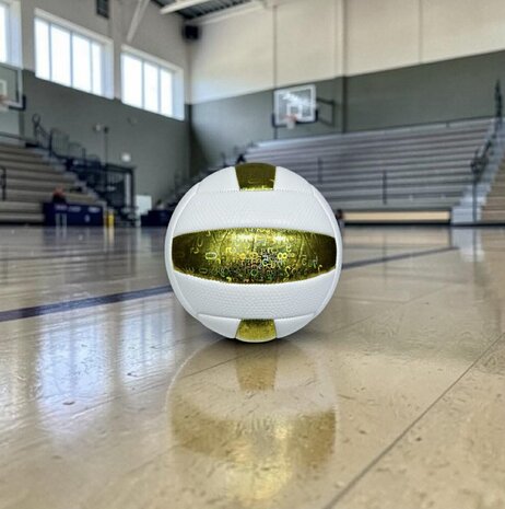 Ballon de volley-ball Baisidiwei - Taille et poids officiels&nbsp;: 280 grammes 5