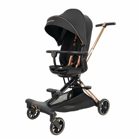 Kinderwagen Baobaohao V16 Buggy zwart voor kinderen van 0-3 jaar &ndash; Luxe, lichtgewicht en opvouwbaar