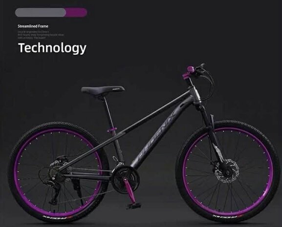 Mountainbike FENGZX - 26 inch voor dames en heren - 21 versnellingen met dubbele schijfremmen