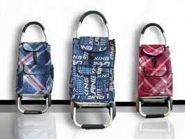 GROTE ALUMINIUM boodschappentrolley - Grote massieve wielen - Trap Stoep 55 liters.