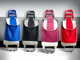 Boodschappenwagen voor winkelen - TRAP STOEP 45 LITERS.