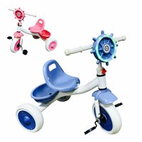 Driewieler kinderfiets - met pedalen - licht & geluid 63 CM